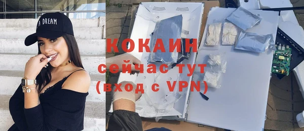 стаф Белокуриха