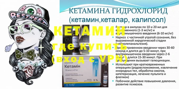 стаф Белокуриха