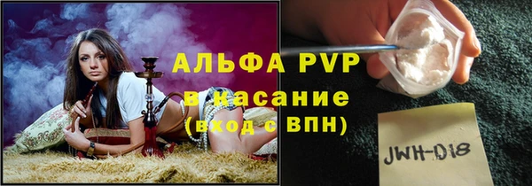 стаф Белокуриха