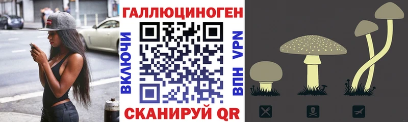 Галлюциногенные грибы прущие грибы Кушва